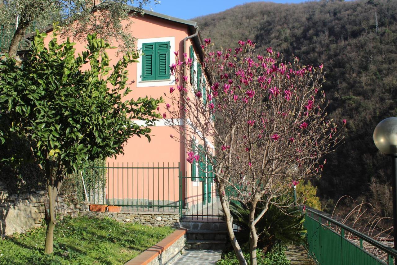 Casa Laura Villa Zoagli Exterior photo